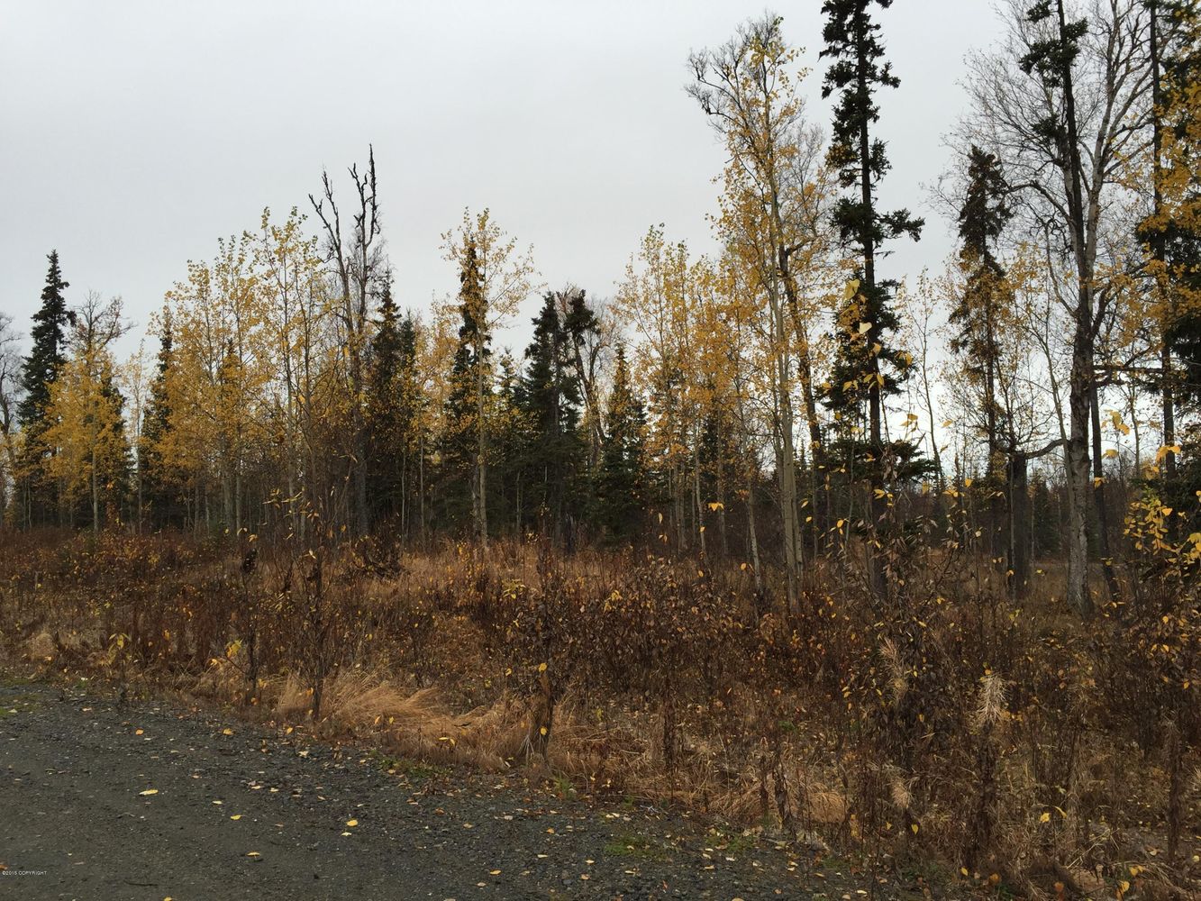 63760 Tailwind Rd, Ninilchik, AK 99639